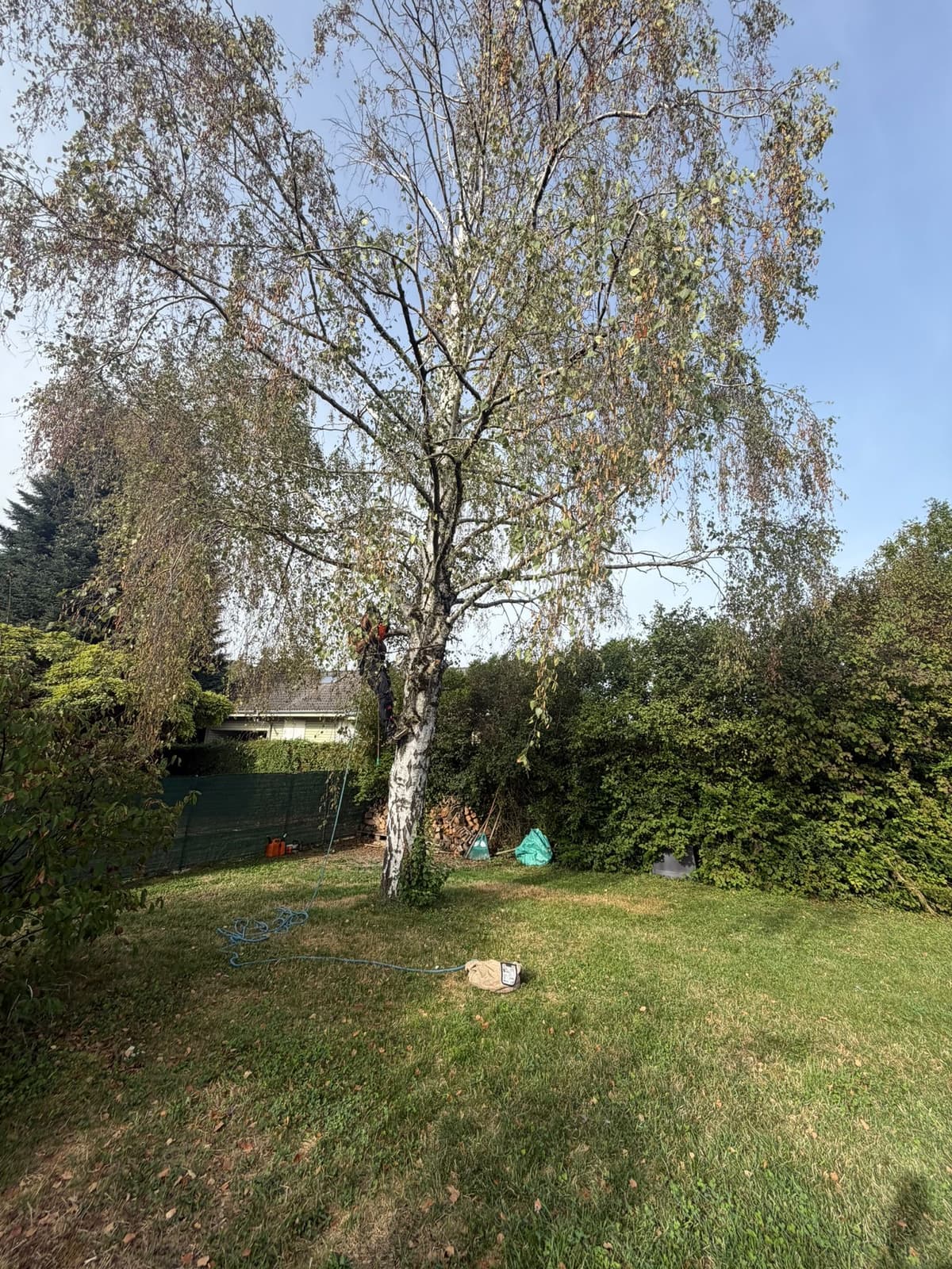 Chantier JM Élagage Bonneville — réalisation 8